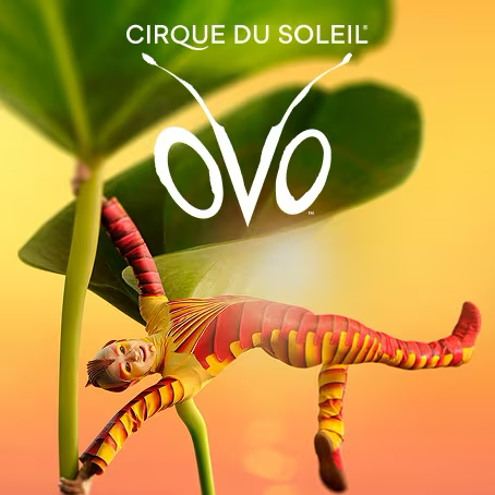 Cirque du Soleil "Ovo"