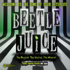 Beetlejuice | Fri 10 July 2026 | STALLS | MATINEE | 3pm | Prince Edward Theatre