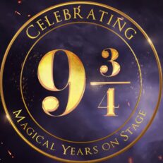 Harry Potter and the Cursed Child | Tue 5 Jan 2027 | Stalls | 7pm | Palace Theatre